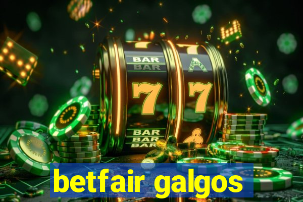 betfair galgos